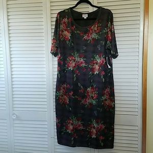 NWT LuLaRoe Julia